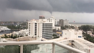 2, 000 alligators prepped for Hurricane Irma at Gatorland