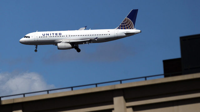 Dog dies on flight after being placed in overhead bin