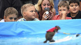 Spectators watch Twiggy, the water-skiing squirrel, performs. Twiggy's owner, Lou Ann Best, spends a substantial part of the performance educating spectators about water safety.