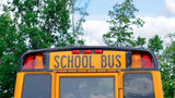 Reports say a Florida boy says he was attacked multiple times by a pit bull when he got off the school bus.