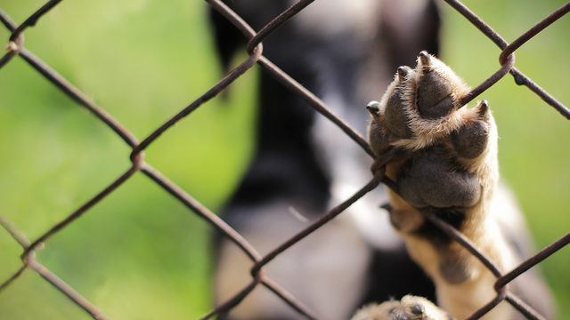 Texas man dying of cancer has week to li 0 15240594 ver1.0 640 360