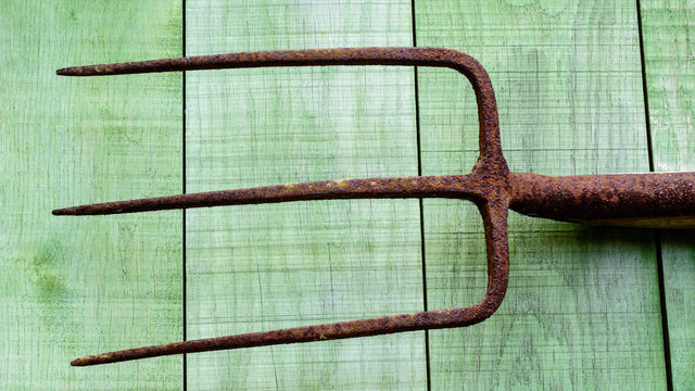 Pitchfork list of the 50 greatest christma